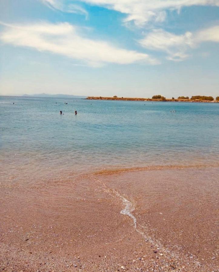 Modern Apt In Glyfada A Breath Away From The Sea - The View 아테네 외부 사진